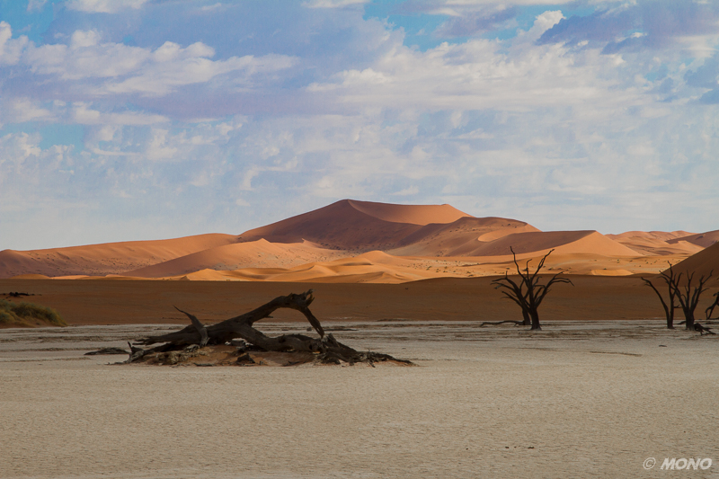 Sossusvlei - die  Dünen der Namib